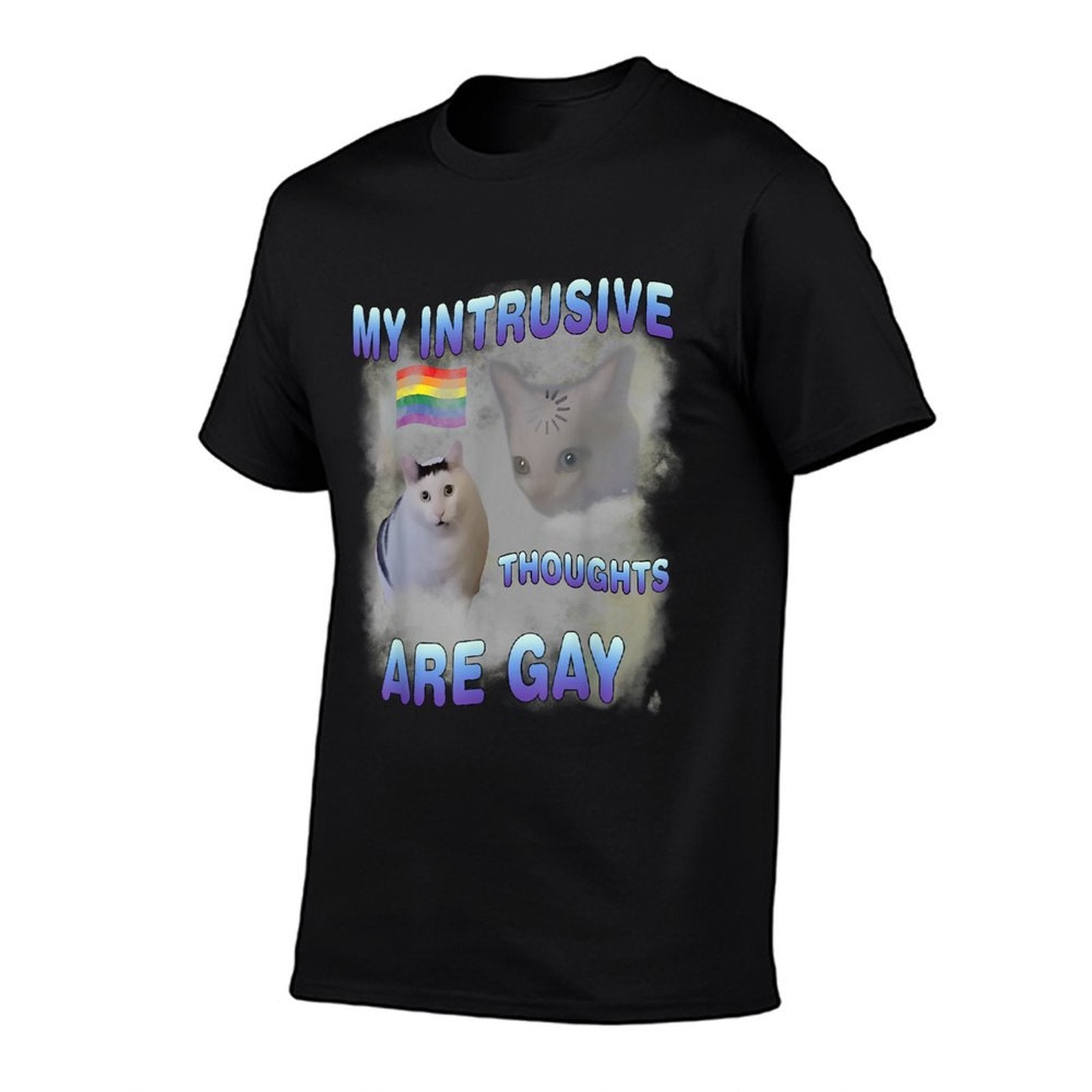 My Intrusive Thoughts Are Gay Funny Cat Meme Humor Joke  Graphic-printed T-Shirt