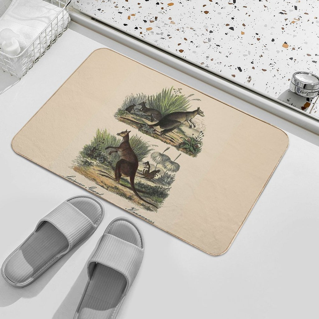 KANGAROO  Vintage 1854 Comte Print  Odorless Bath Mat