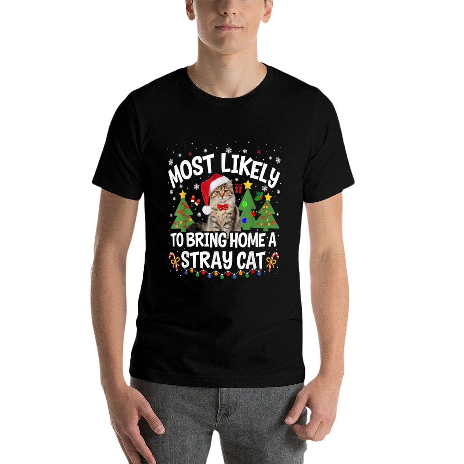 Most Likely To Bring Home A Stray Cat Christmas Family  Fade-proof Color T-Shirt