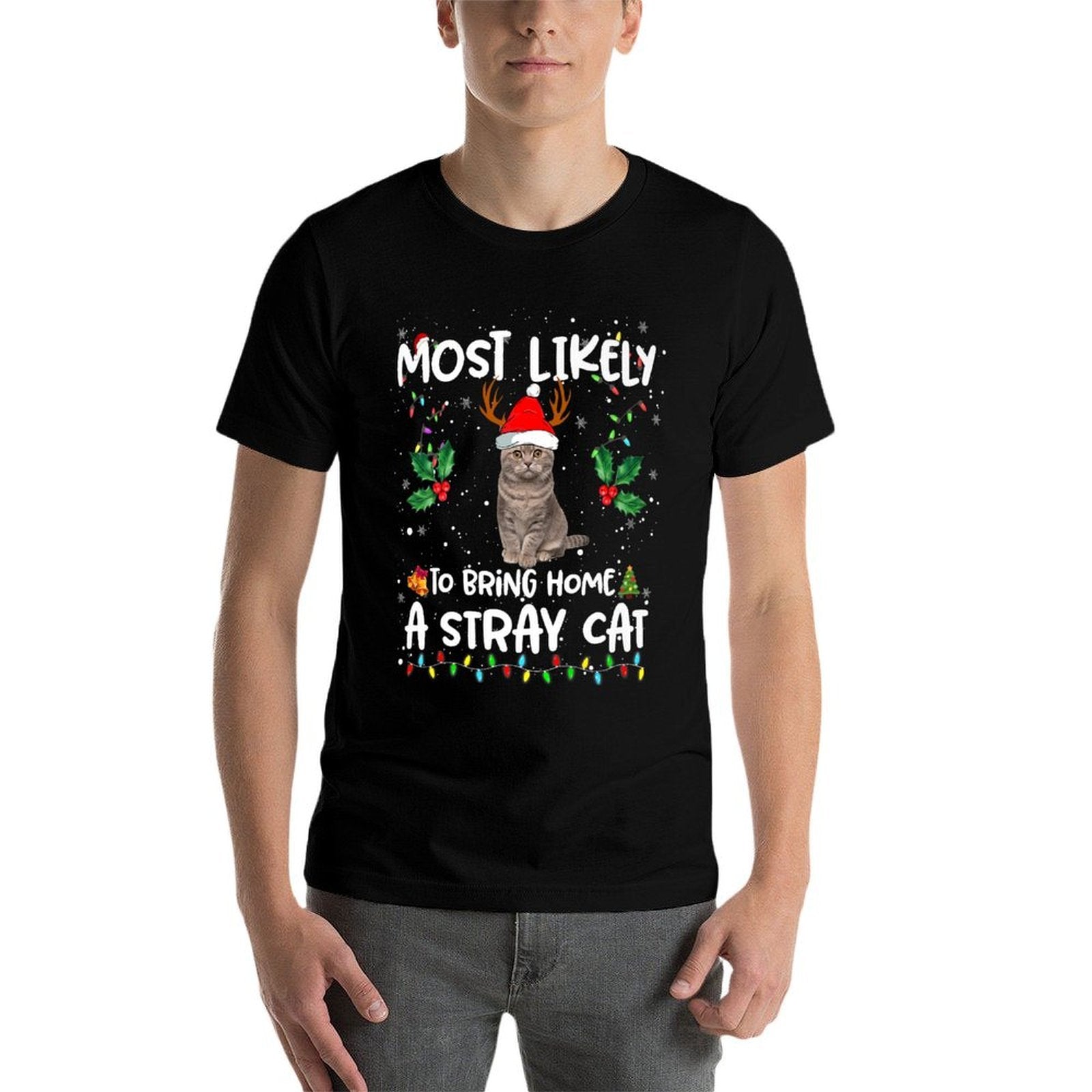 Most Likely To Bring Home Stray Cat Family Matching Holiday Premium  Quick-drying T-Shirt