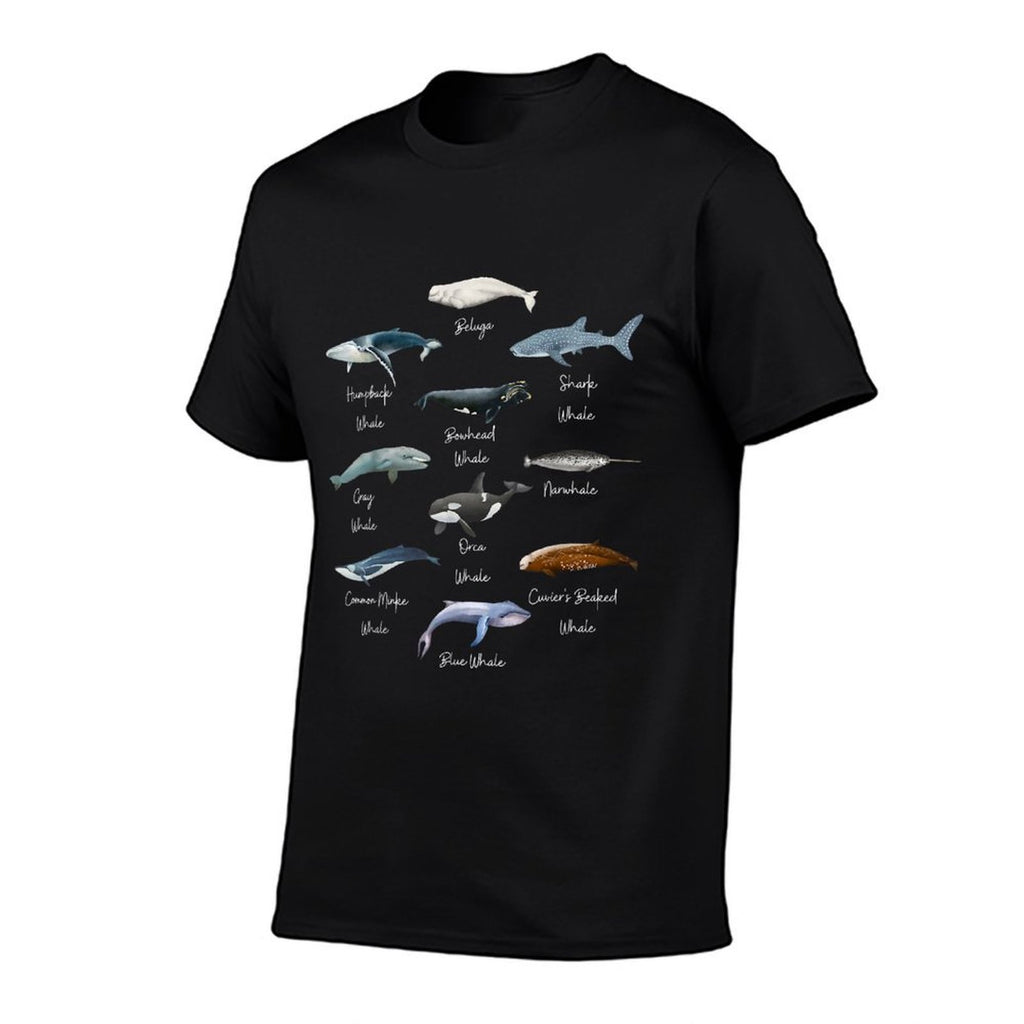 Types Of Whales Watercollor Cute Ocean Mammals Guide  Classic T-Shirt