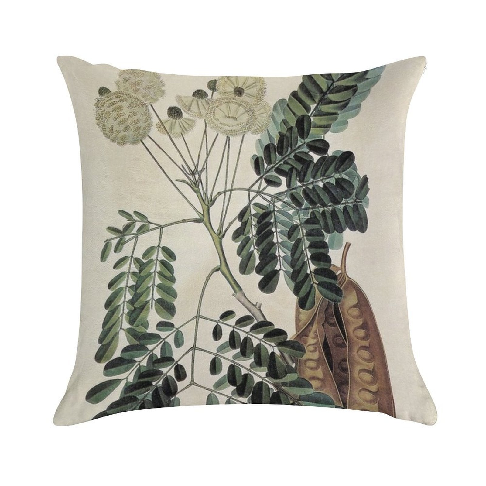 Acacia Vintage Botanical Print Soft Warmth Comfort Throw Pillow