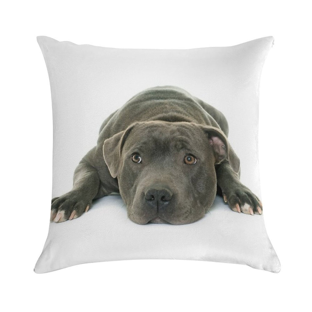 Blue Staffordshire Bull Terrier Super Cute Puppy Eyes Soft Reinforced Edging Throw Pillow