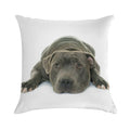 Blue Staffordshire Bull Terrier Super Cute Puppy Eyes Soft Reinforced Edging Throw Pillow