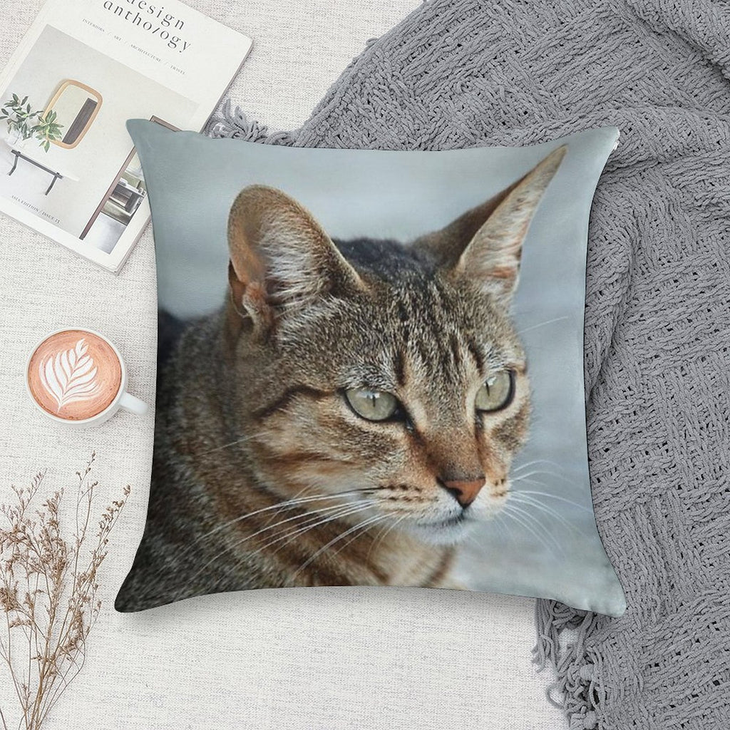 Stunning Tabby Cat CloseUp Photo Portrait Soft Bedroom Essential Throw Pillow