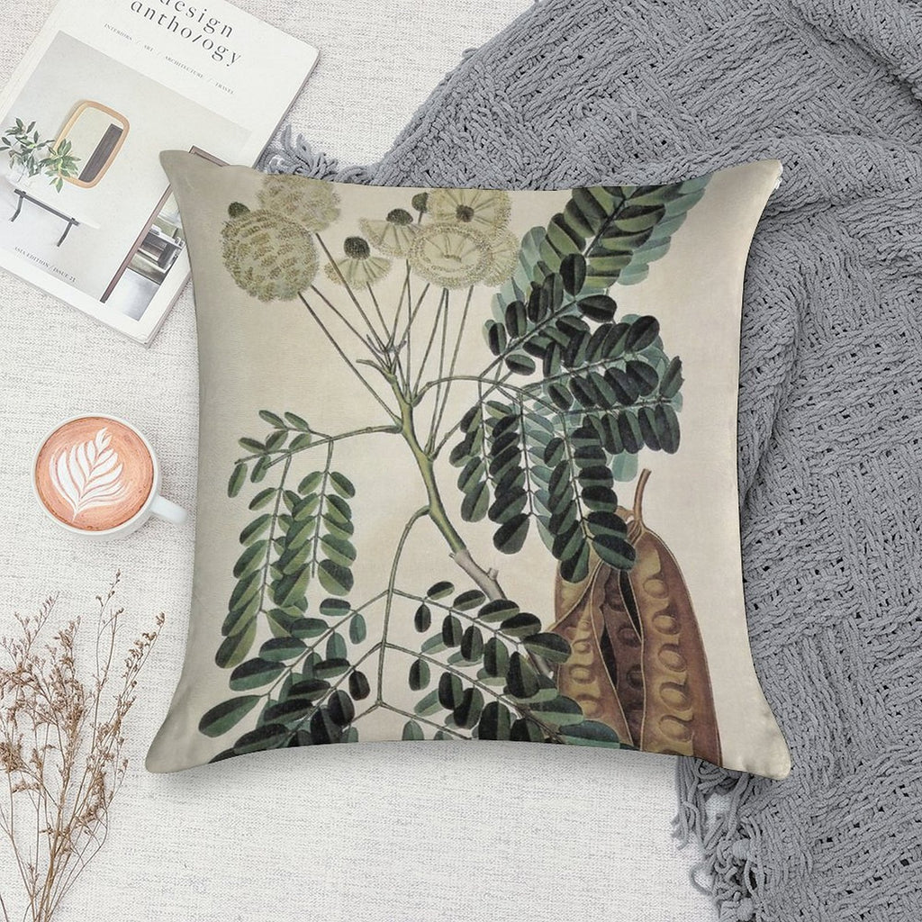 Acacia Vintage Botanical Print Soft Warmth Comfort Throw Pillow