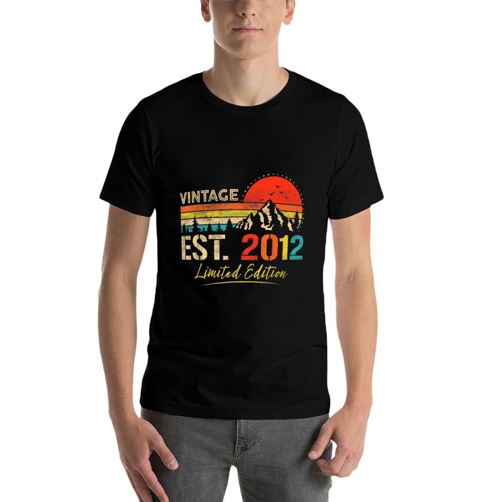 Vintage Est 2012 Limited Edition 13th Birthday 13 Years Old Comfortable T-Shirt