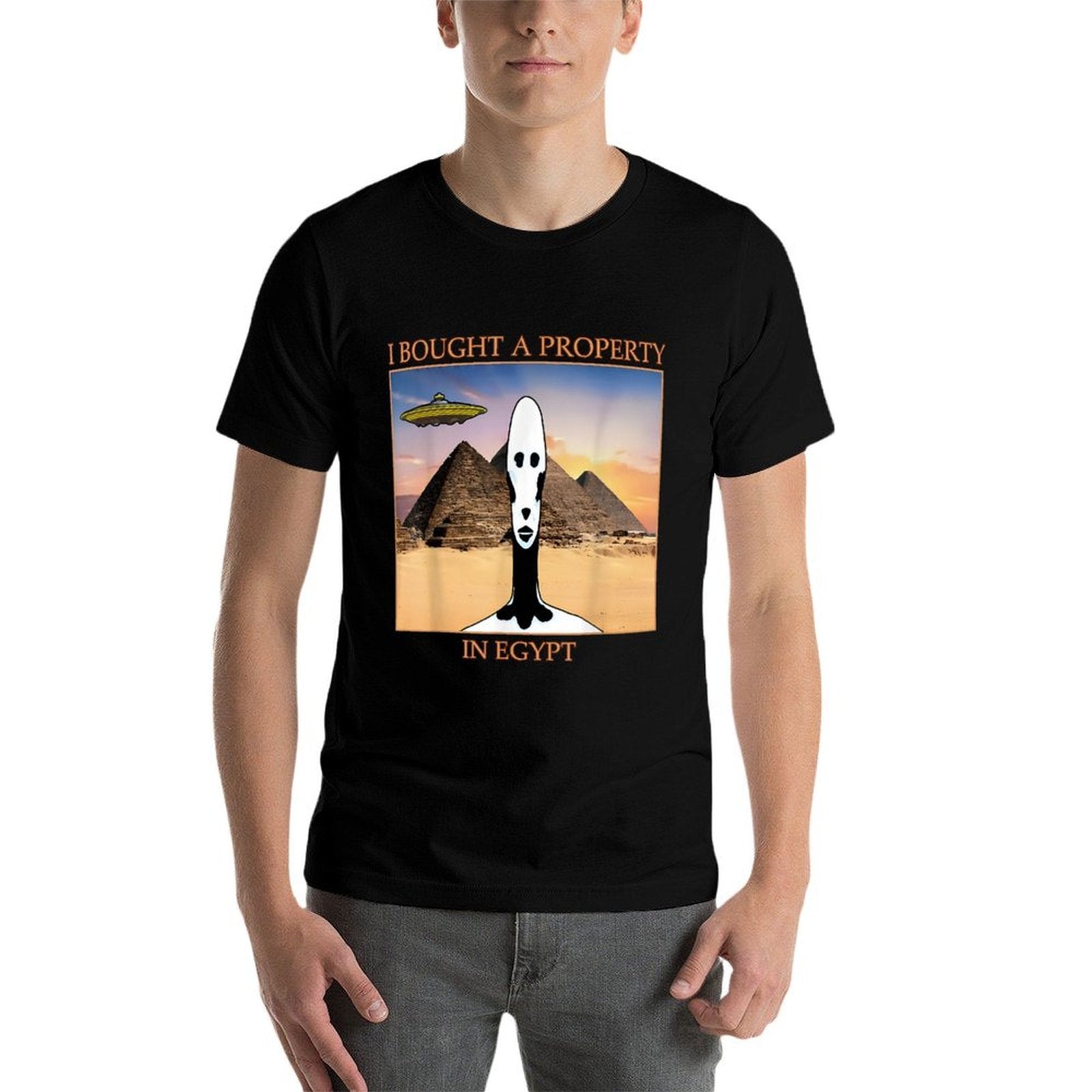 I Bought A Property In Egypt Locked In Alien Meme  Wrinkle-resistant T-Shirt