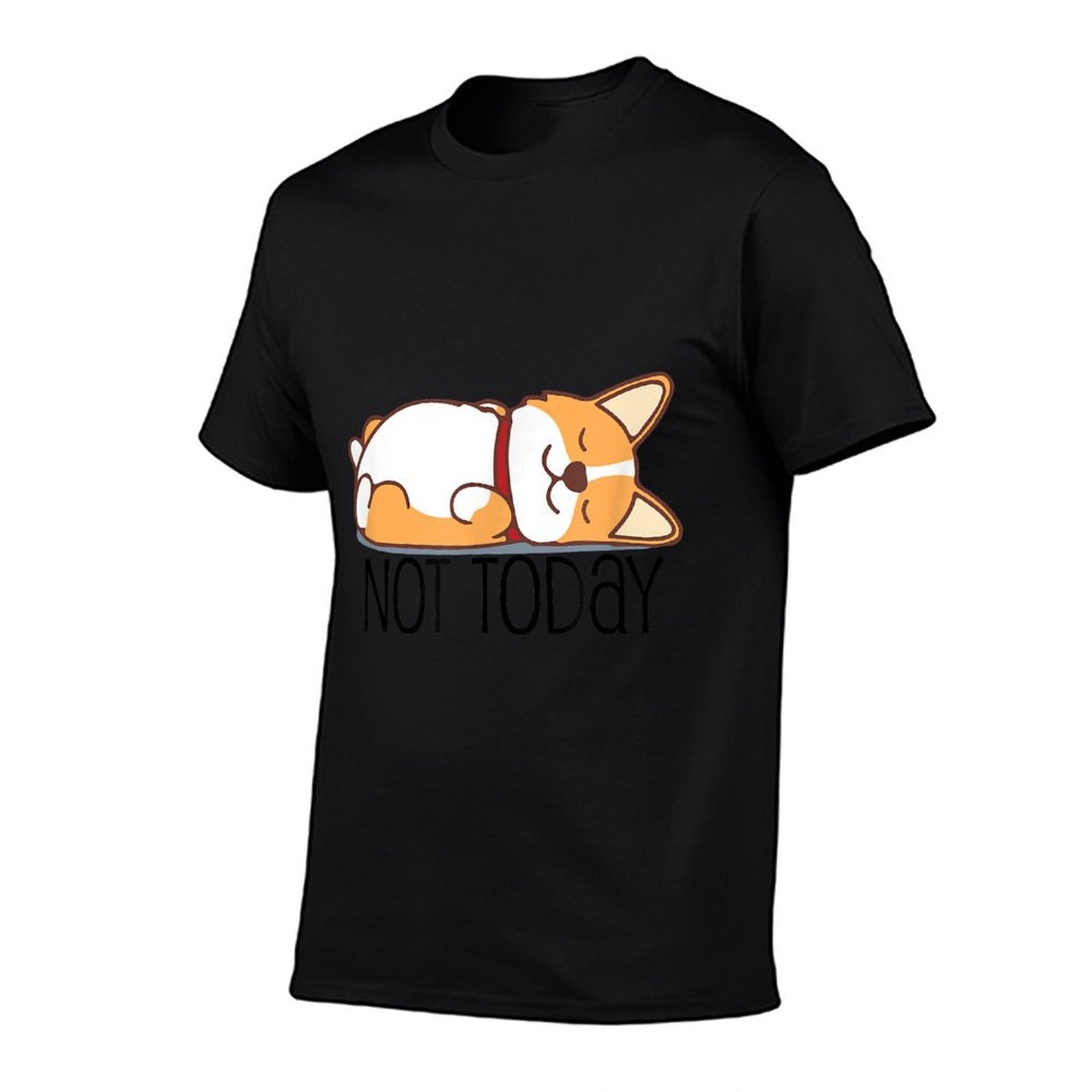 Cute Corgi Gift Funny Dog Lover Not Today Lazy Animal  Moisture-wicking T-Shirt