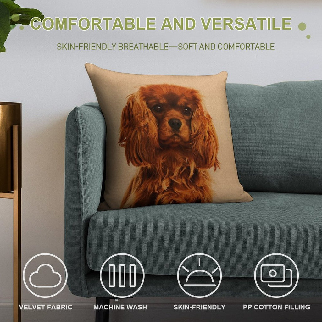Cavalier King Charles Spaniel Soft Multiple Sizes Throw Pillow