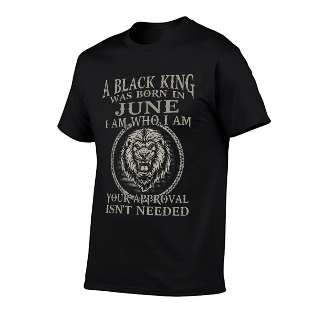 A Black King Was Born In June I Am Who Lion Birthday Gift  Vintage-inspired T-Shirt