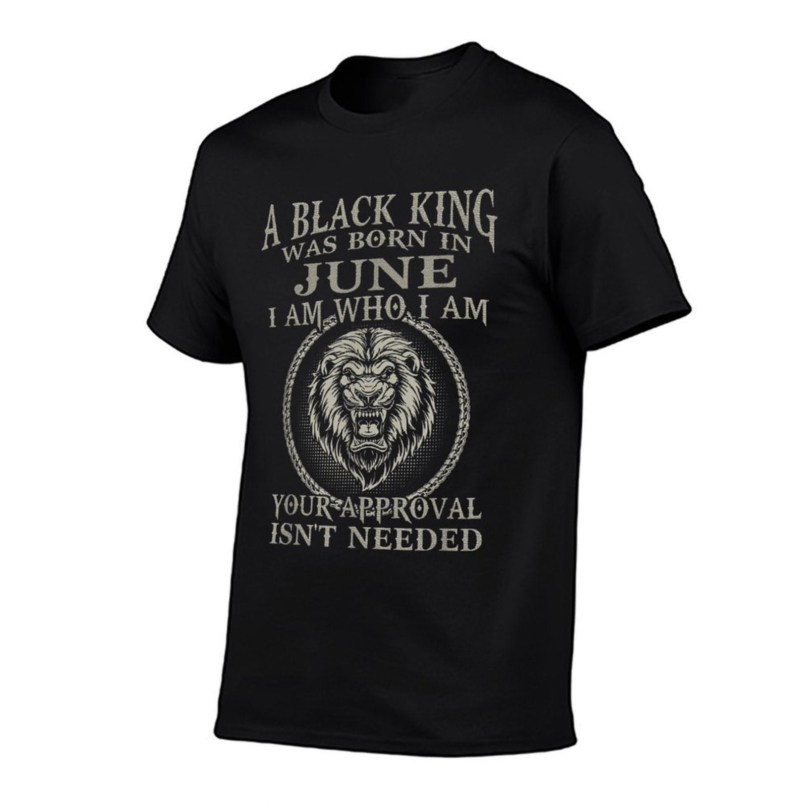 A Black King Was Born In June I Am Who Lion Birthday Gift  Vintage-inspired T-Shirt
