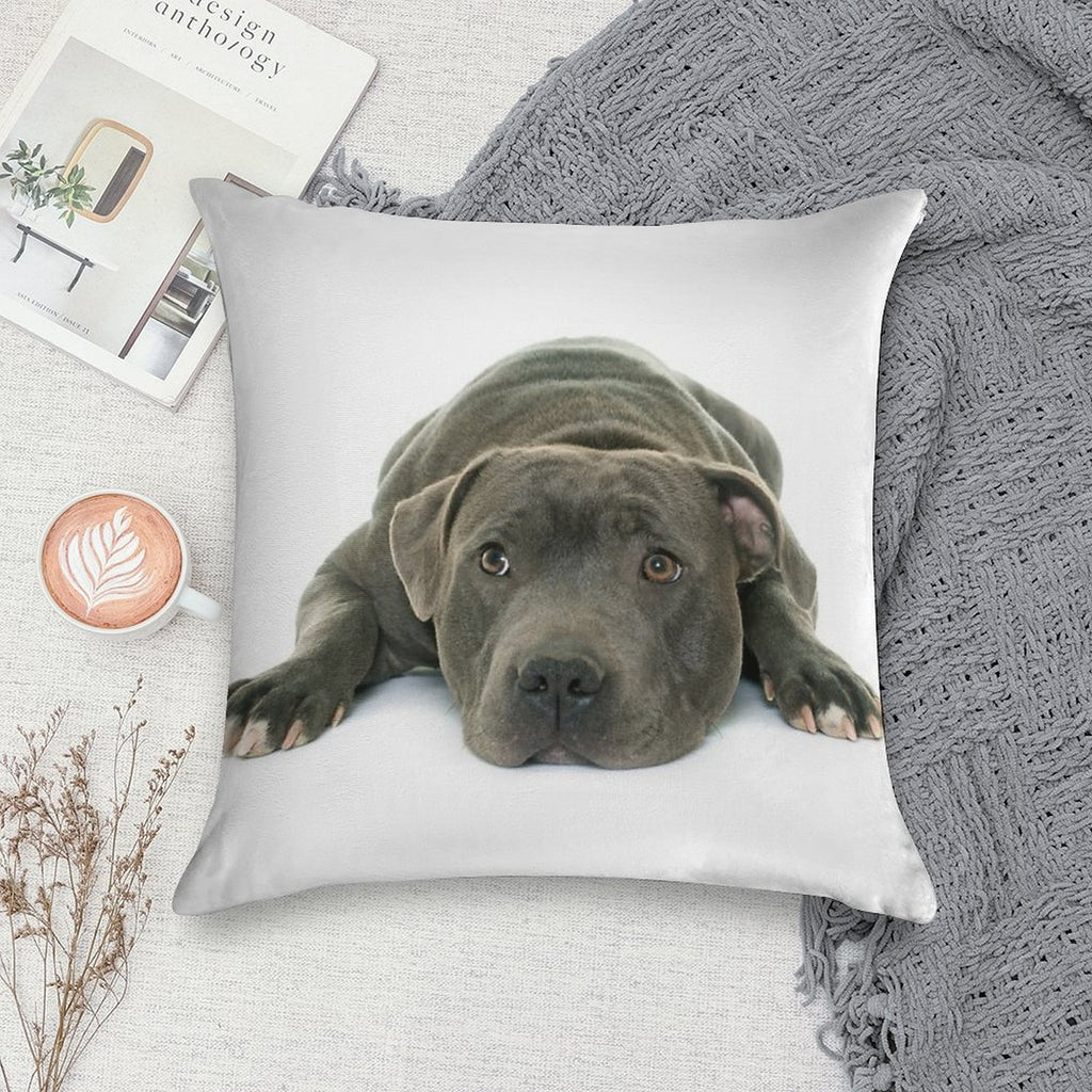 Blue Staffordshire Bull Terrier Super Cute Puppy Eyes Soft Reinforced Edging Throw Pillow