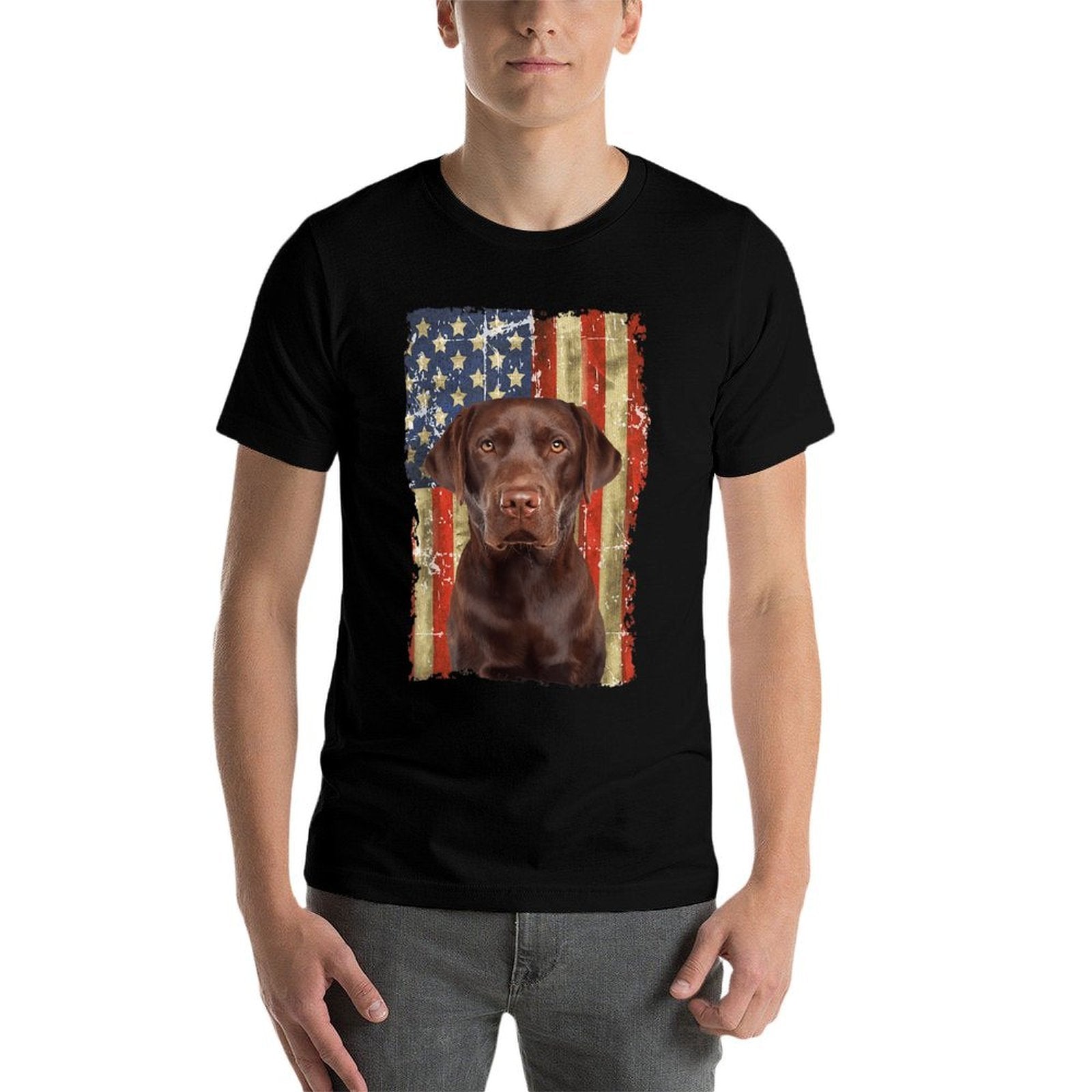 Retro Chocolate Lab With USA Gift Chocolate Lab Dad Mom Comfortable T-Shirt