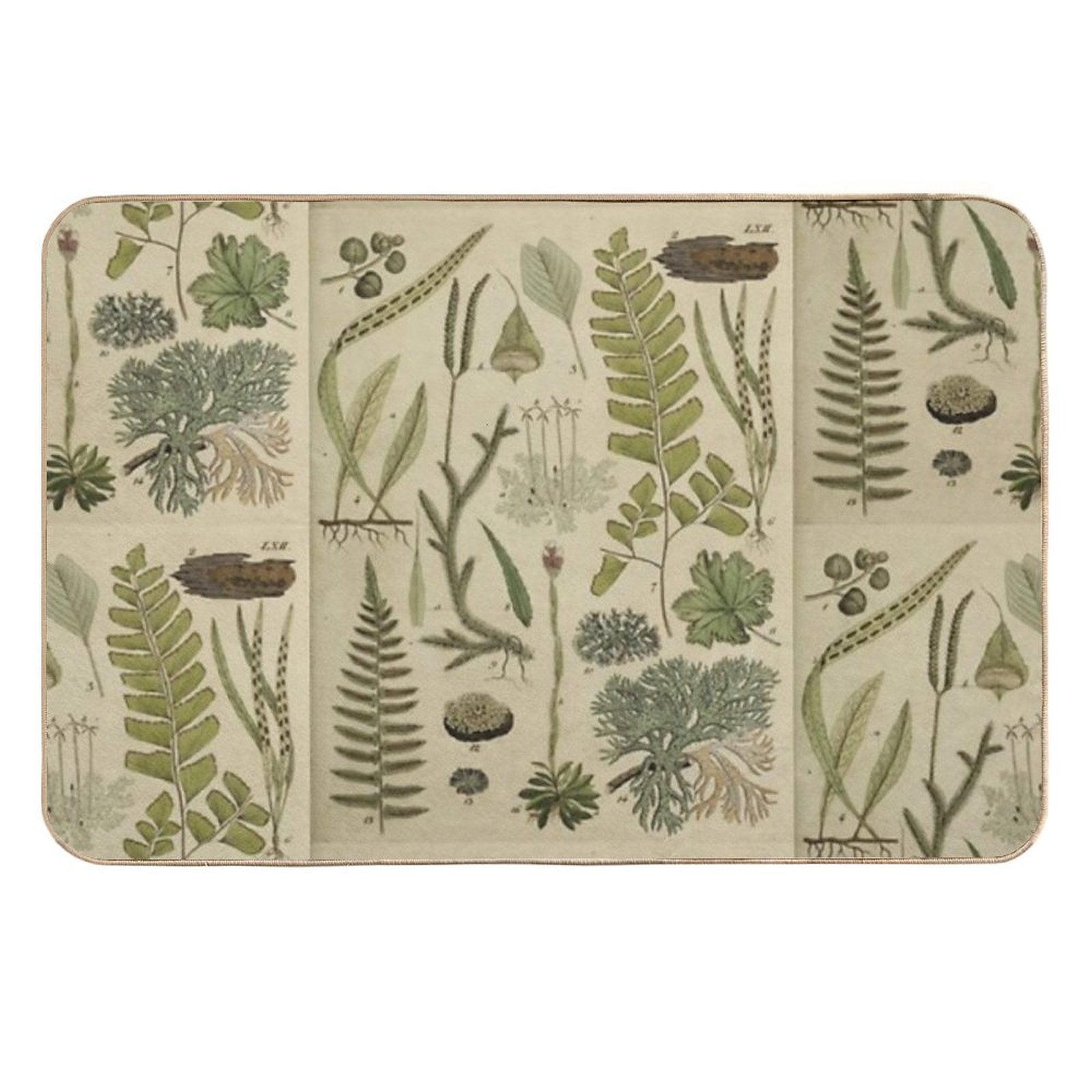 Ferns And Lichen  Eco-Friendly Bath Mat