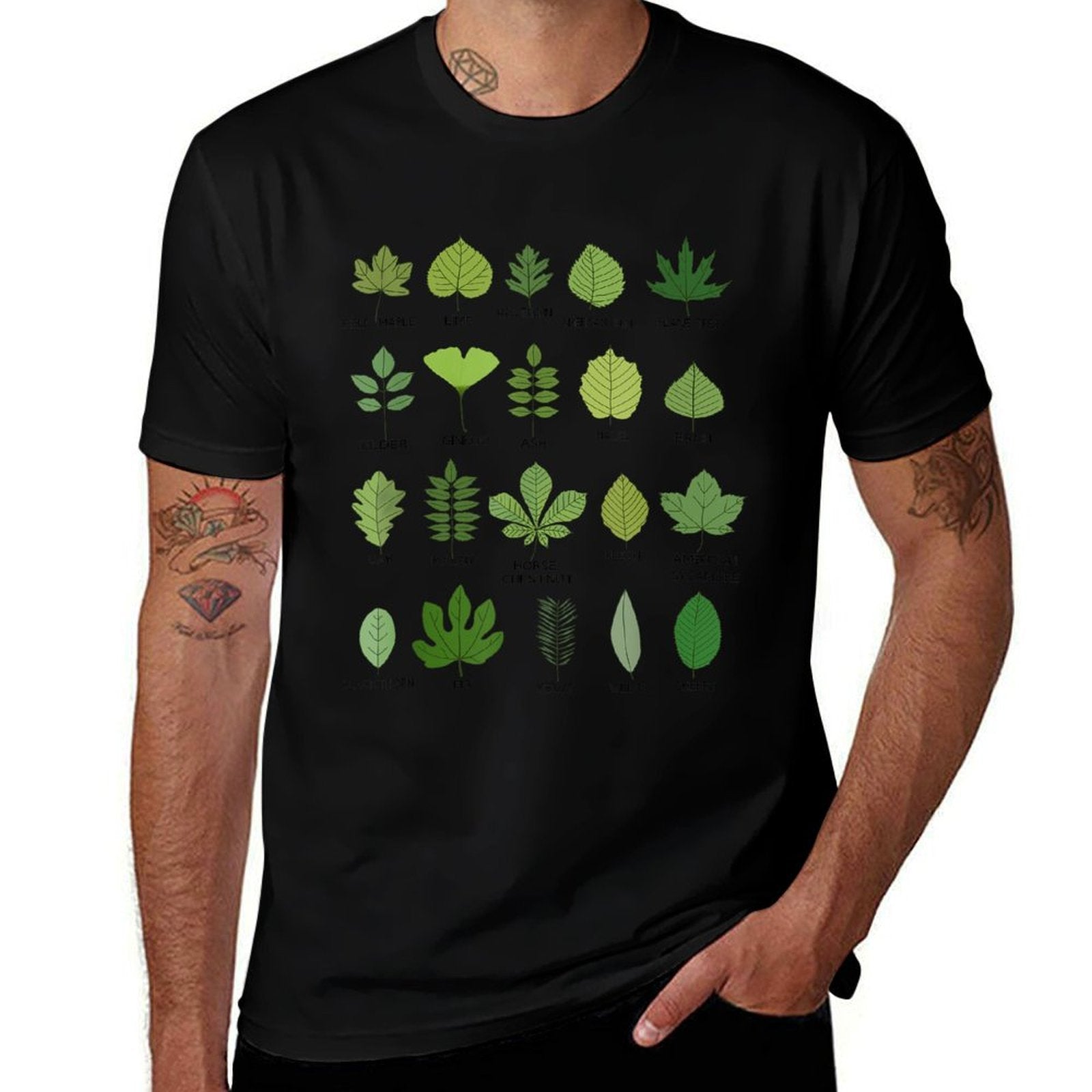 Different Types of Tree Leaves, Common Leaves, Nature Lovers  Quick-drying T-Shirt