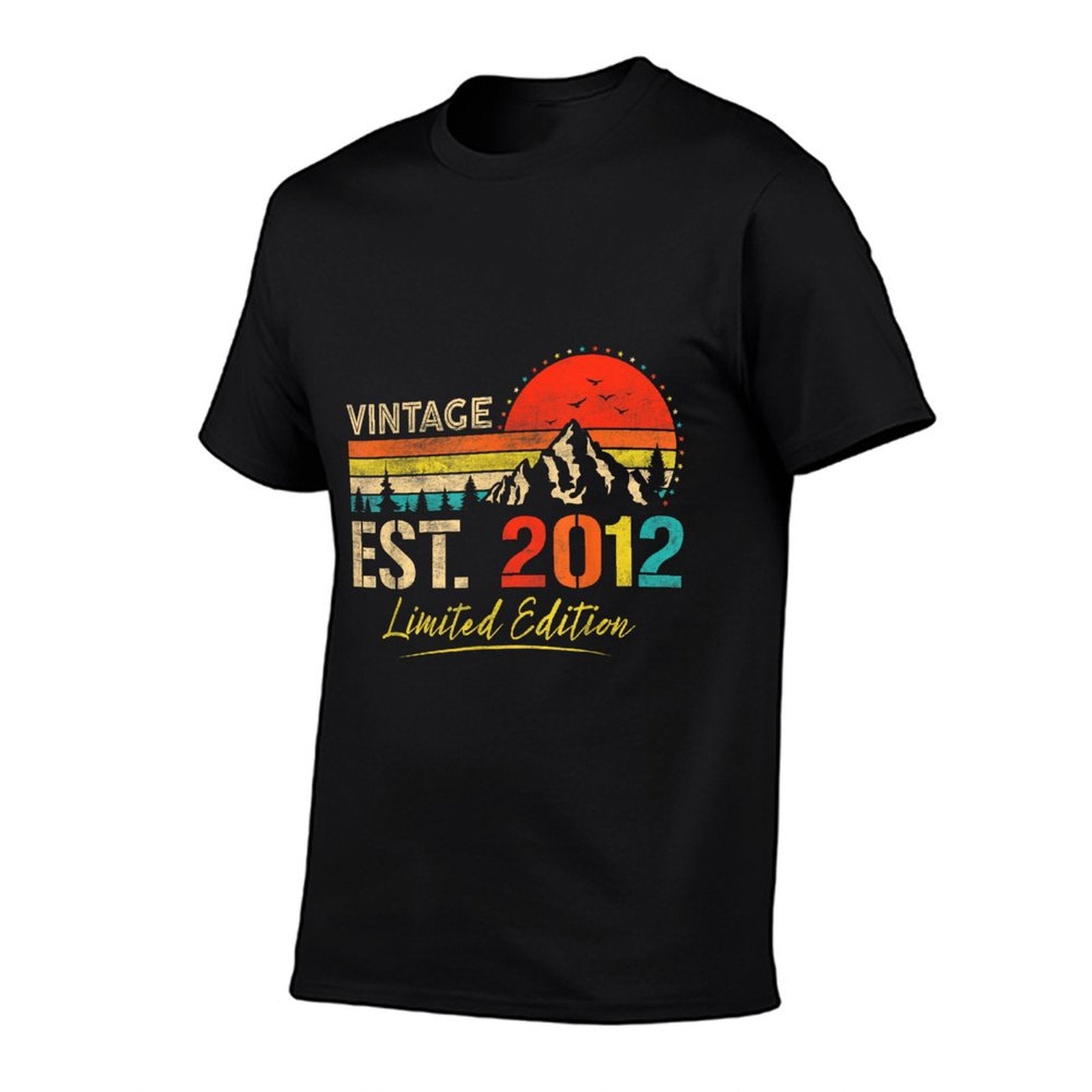 Vintage Est 2012 Limited Edition 13th Birthday 13 Years Old Comfortable T-Shirt