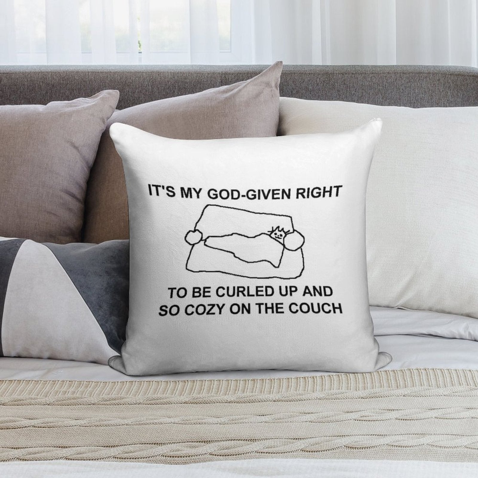 Cozy on The Couch Soft Style Accent Throw Pillow