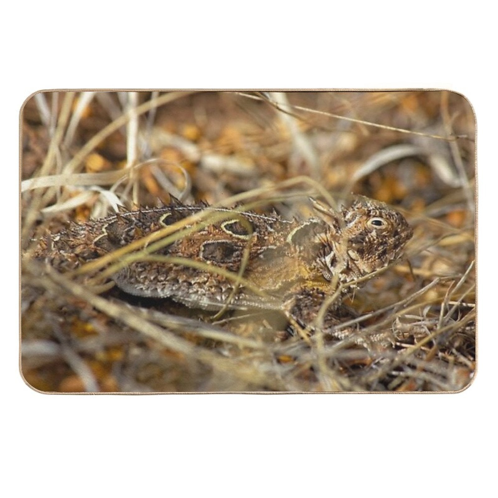 Now You See Me  Dirt-Trapping Bath Mat