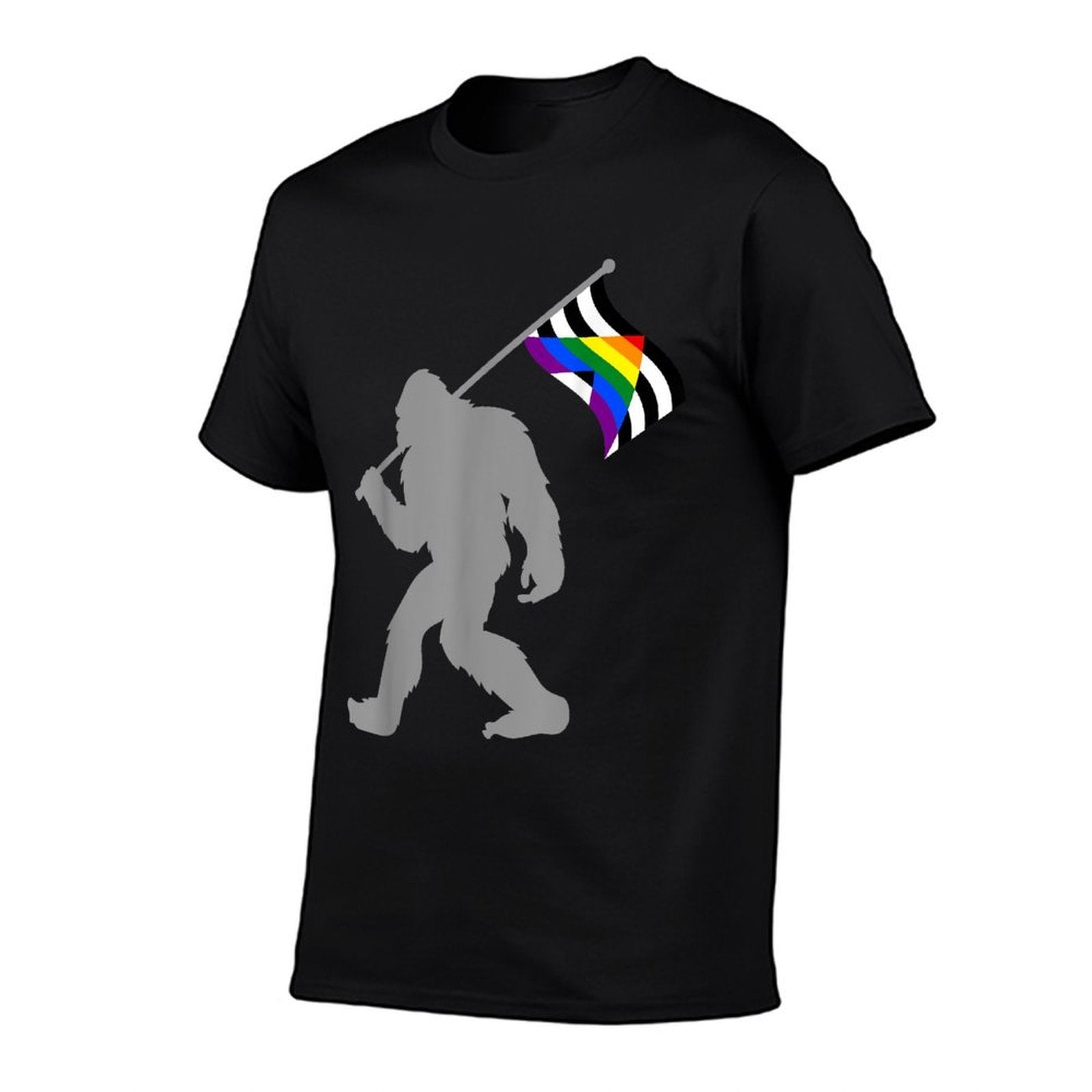 LGBTQ Straight Alliance Pride on Straight Gay Ally  Lightweight T-Shirt