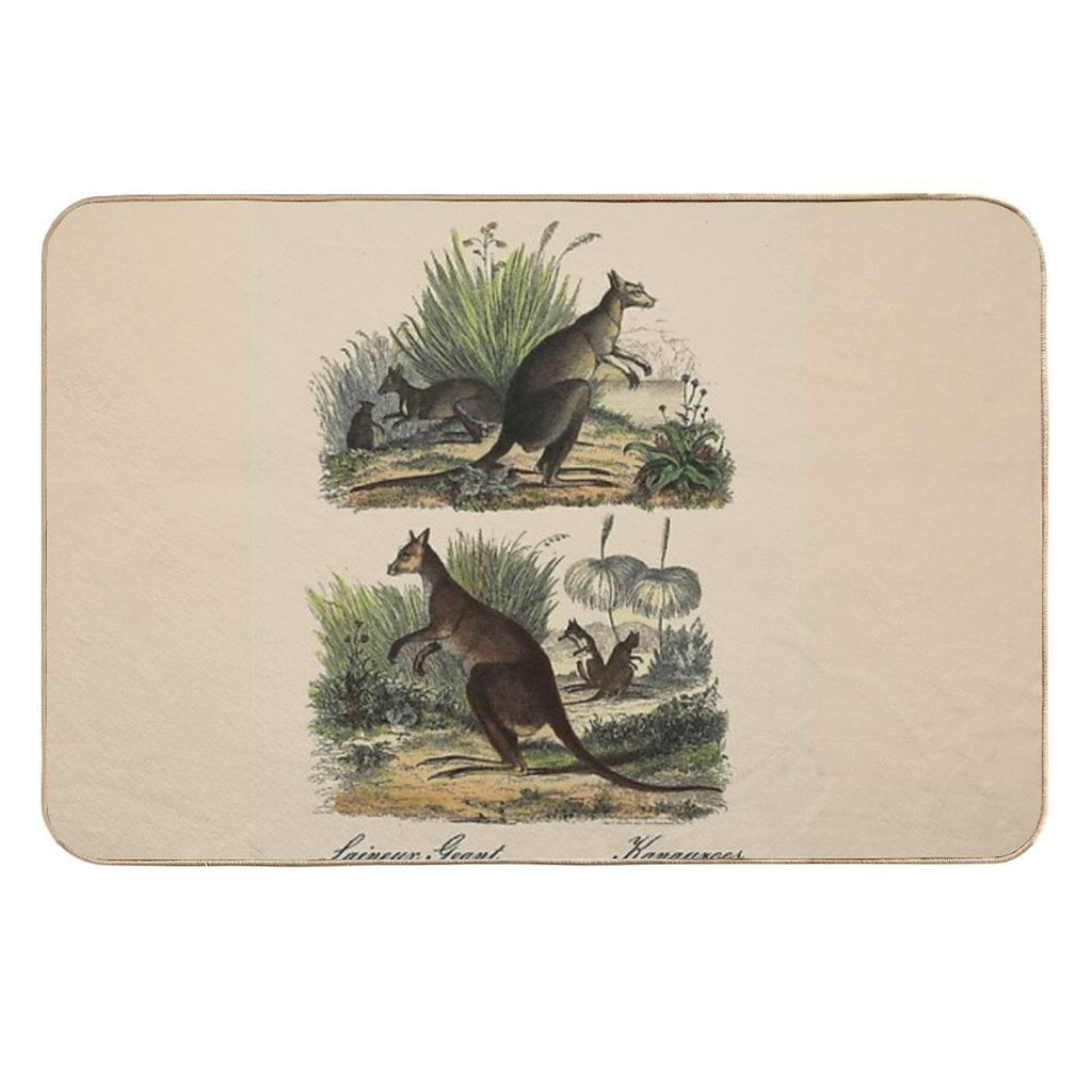KANGAROO  Vintage 1854 Comte Print  Odorless Bath Mat