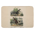 KANGAROO  Vintage 1854 Comte Print  Odorless Bath Mat