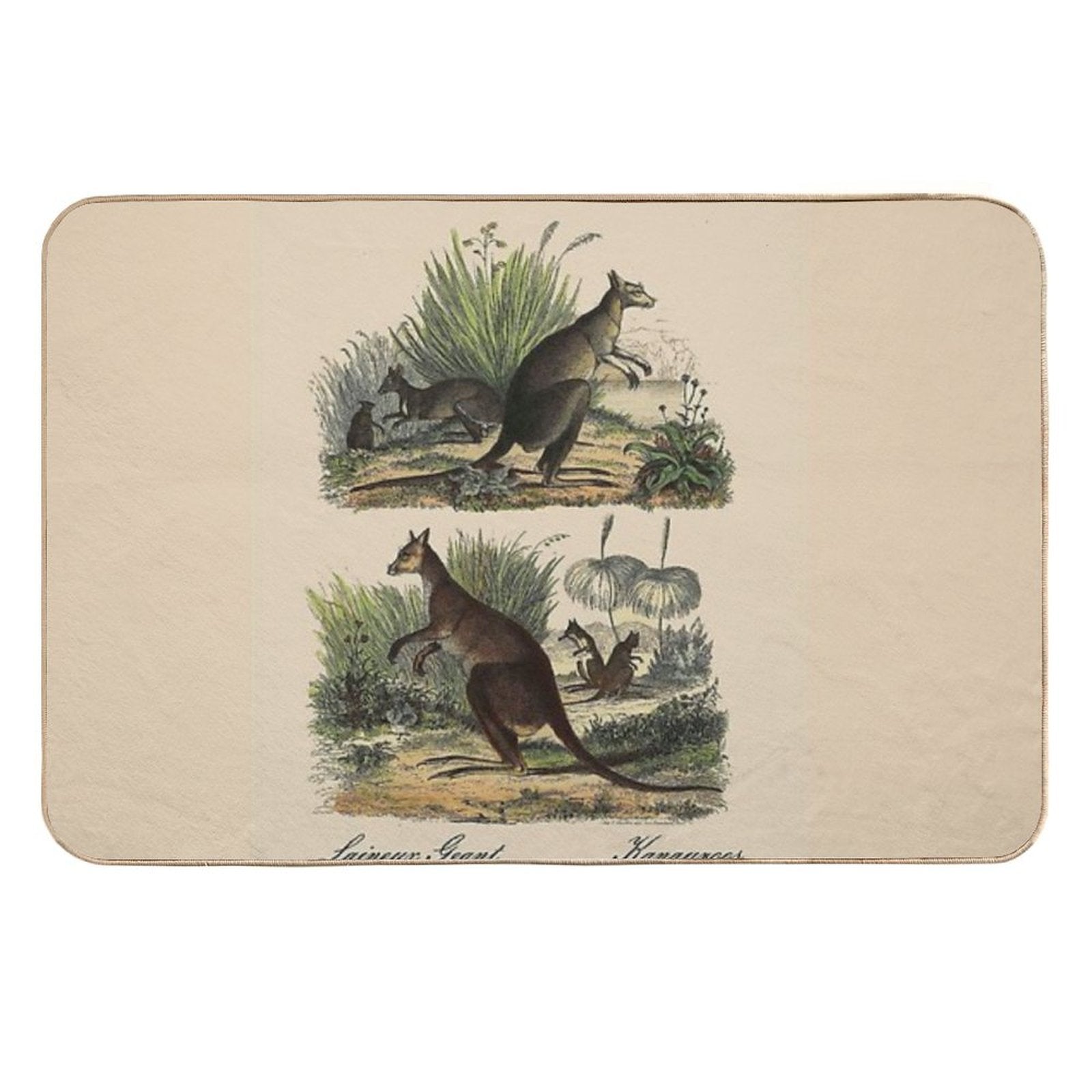 KANGAROO  Vintage 1854 Comte Print  Odorless Bath Mat