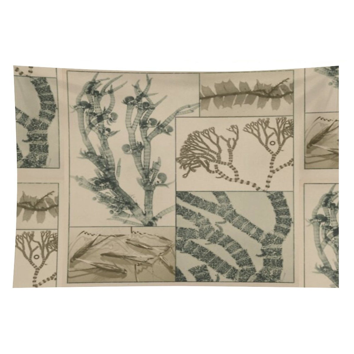 Patterns In Nature Tapestry