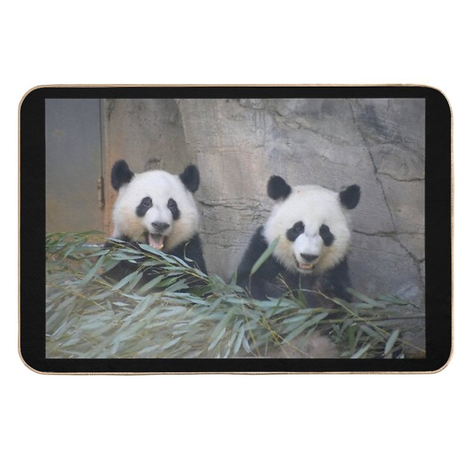 Giant Pandas Ya Lun And Xi Lun at Zoo Atlanta  Pet-Safe Bath Mat