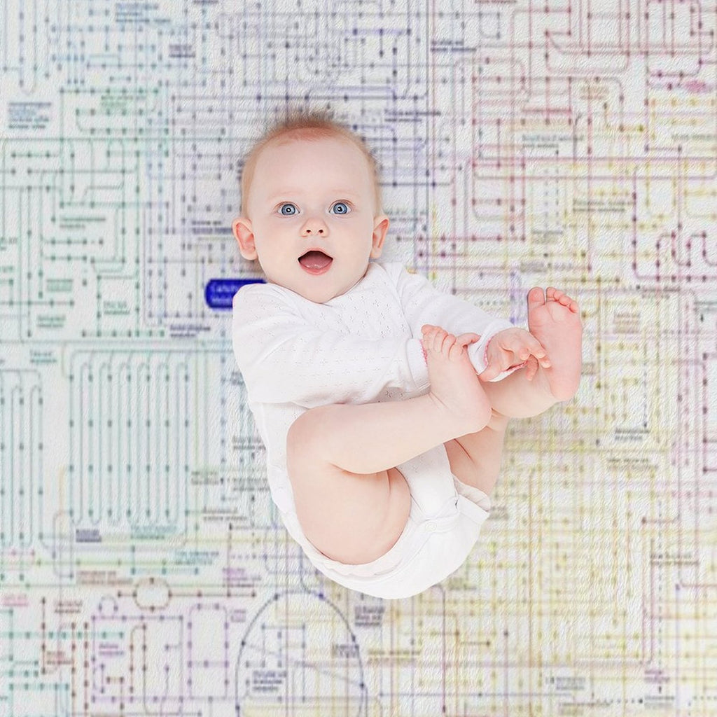 Metabolic Pathway Map Wrinkle-free Throw Blanket
