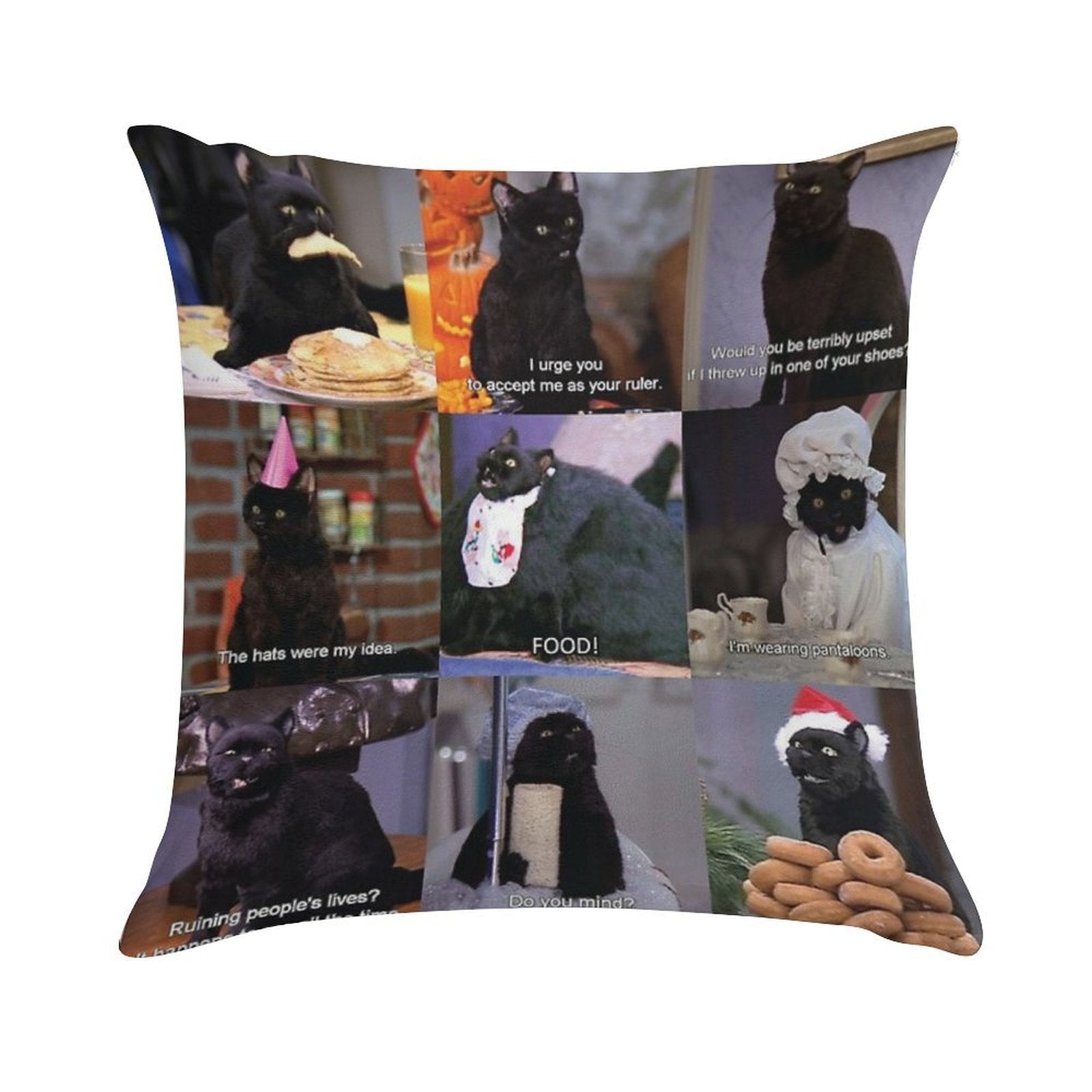 Musings of Salem Soft Easy Maintenance Throw Pillow