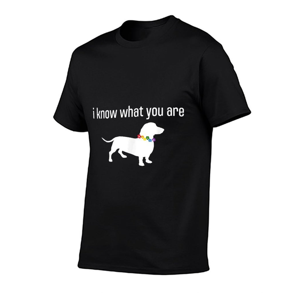 Funny Quote Meme I Know What You Are Homophobic Dog Gay LGBT for Men Women  Heathered Texture T-Shirt
