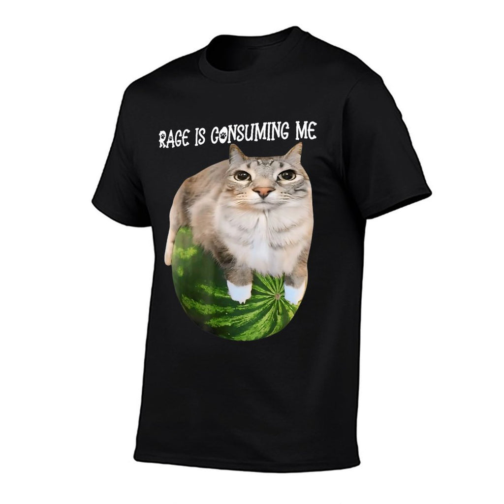 Rage Is Consuming Me Meme Cat Meme Oddly Specific Memes Joke  Rolled Sleeves T-Shirt