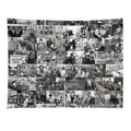 Civil Rights Tapestry