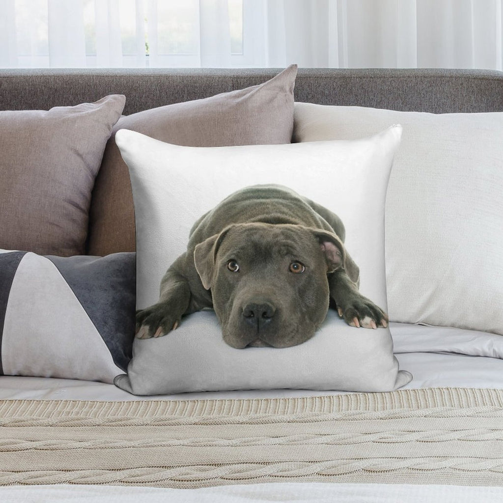 Blue Staffordshire Bull Terrier Super Cute Puppy Eyes Soft Reinforced Edging Throw Pillow