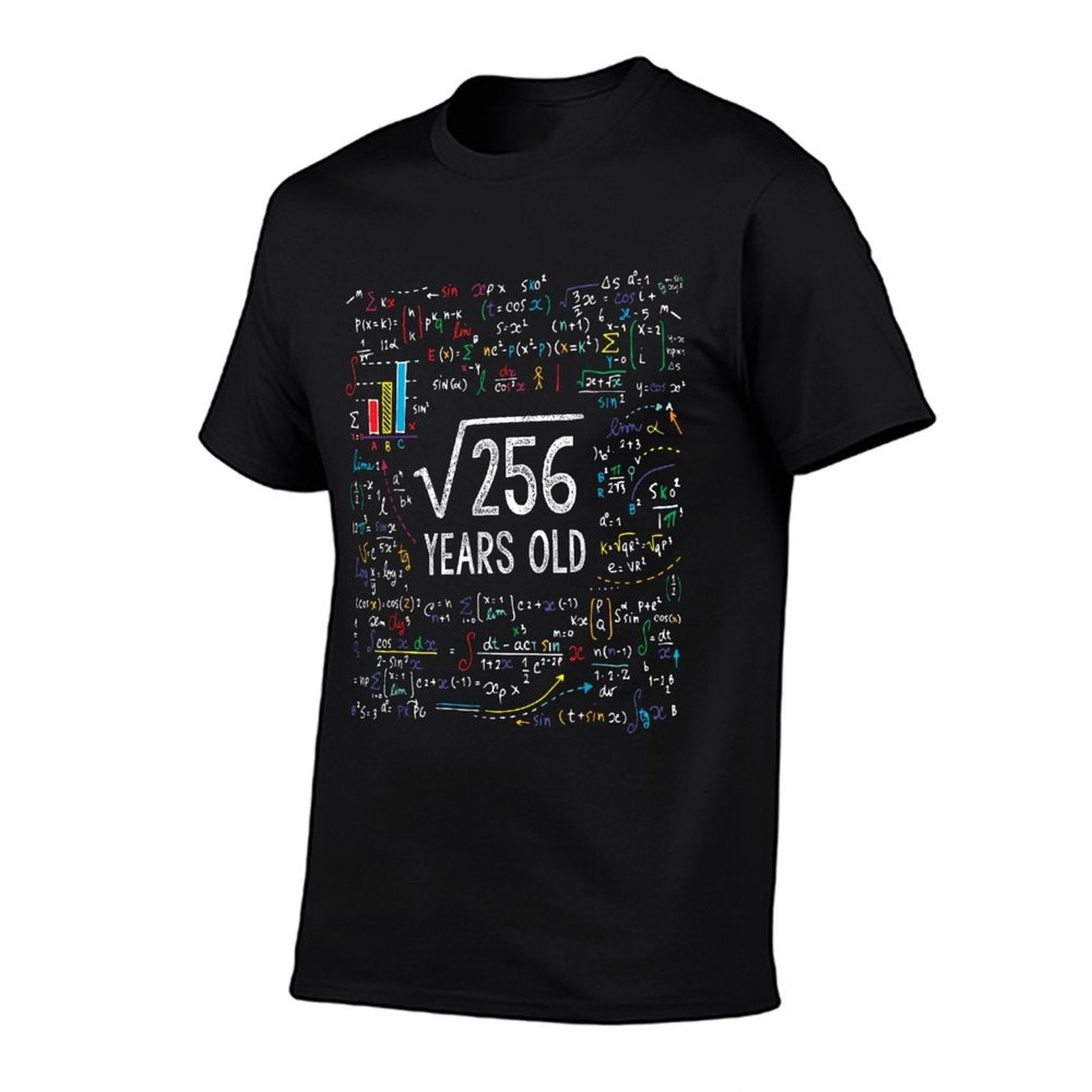 Square Root Of 256 16th Birthday 16 Year Old Gifts Math Bday  Heathered Texture T-Shirt