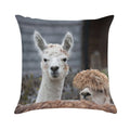Curious Alpacas Cute Animals Soft Style Accent Throw Pillow