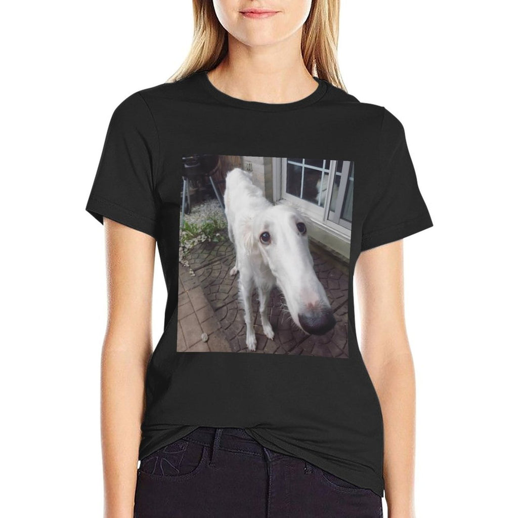 Funny Borzoi Long Nose Dog Meme  Durable T-Shirt