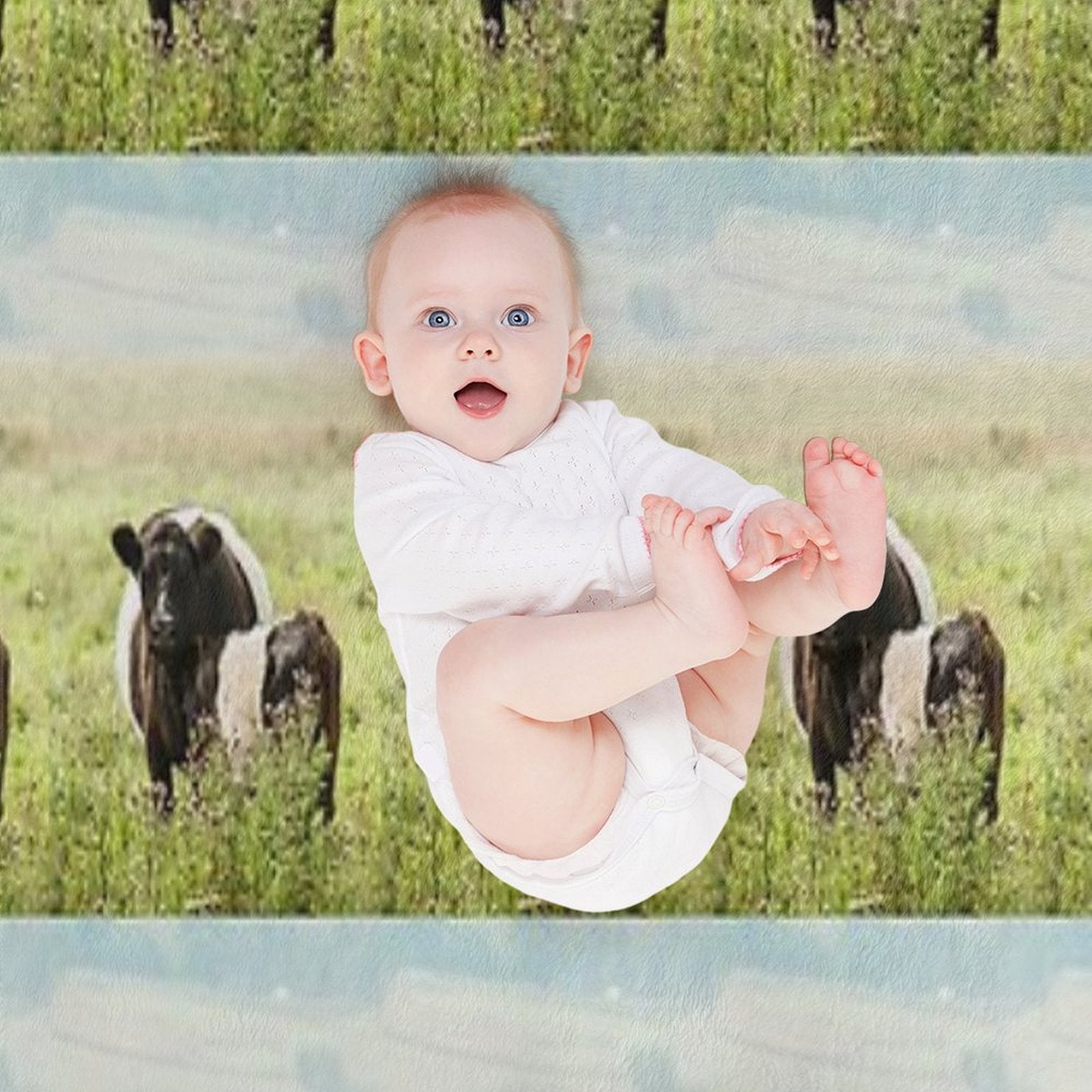Belted Galloway Cow And Calf Compact Throw Blanket