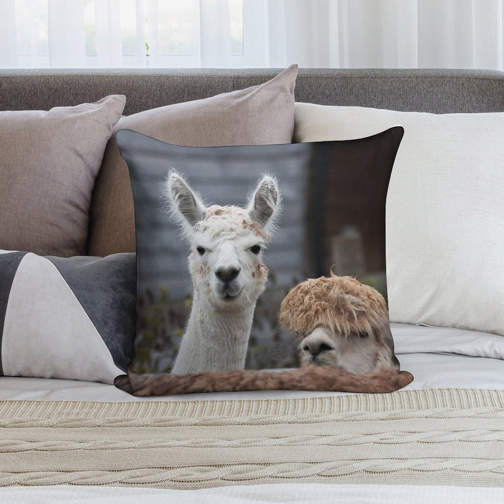 Curious Alpacas Cute Animals Soft Style Accent Throw Pillow
