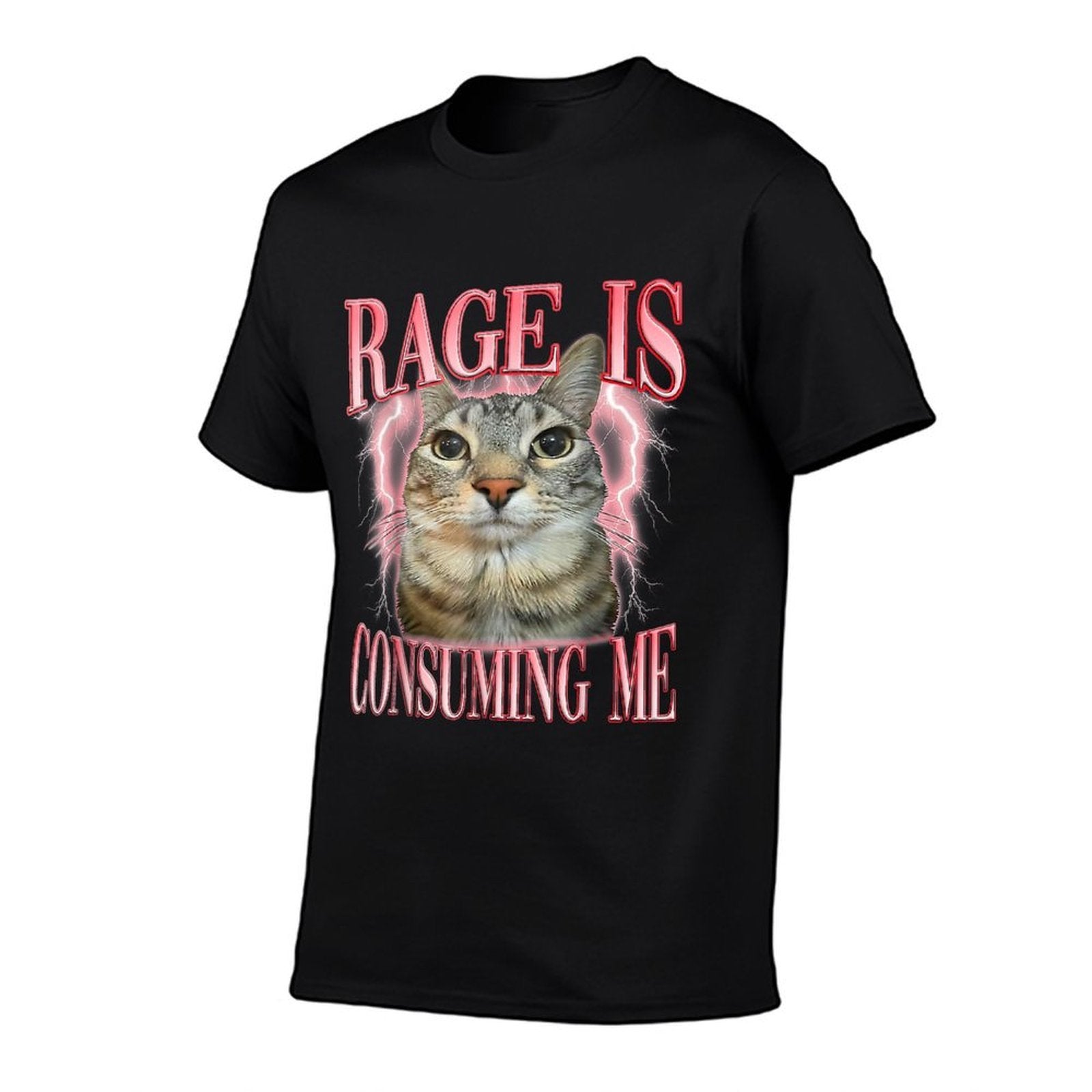 Rage Consumes Me Funny Silly Staring Cat Meme Women Men  Moisture-wicking T-Shirt