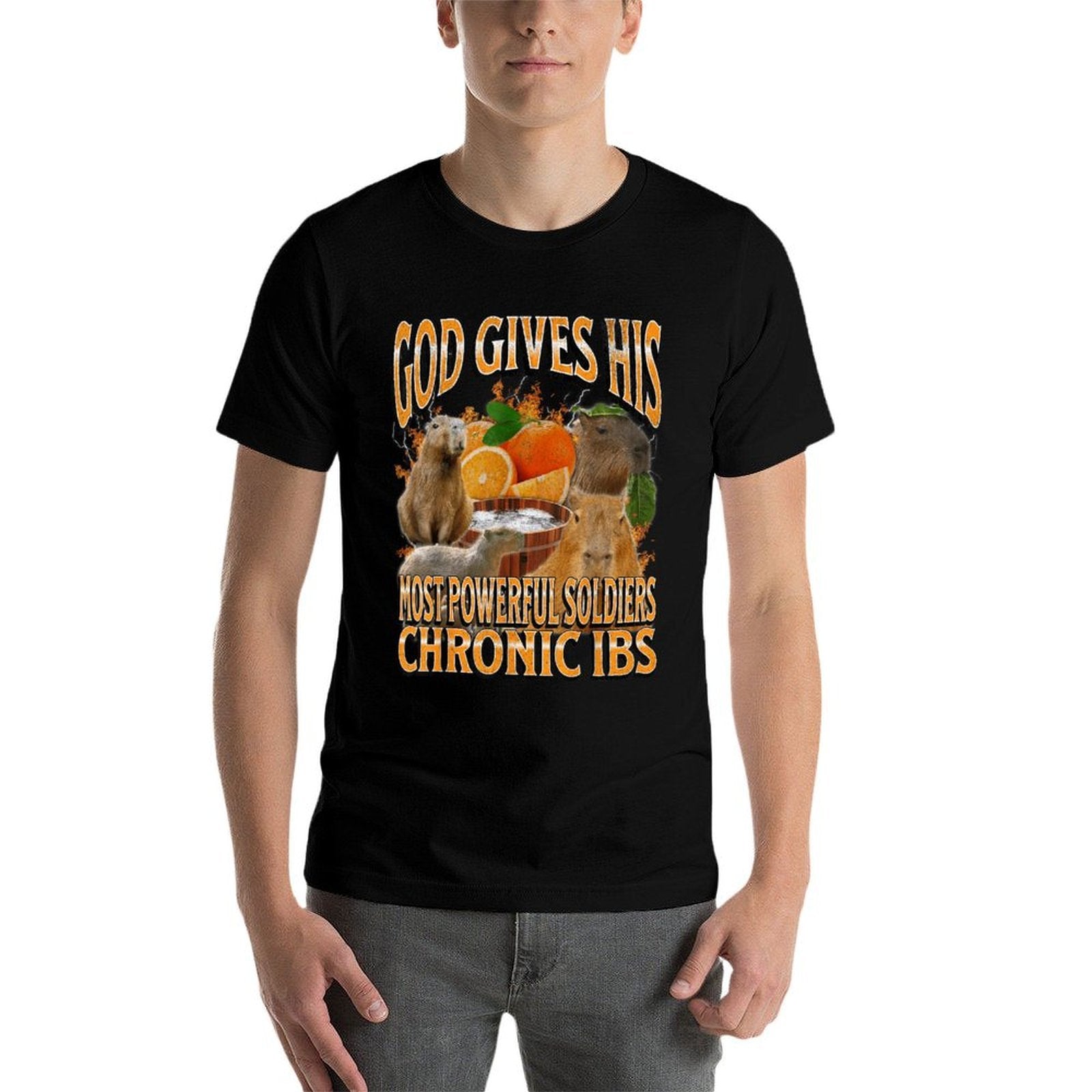 Chronic IBS Funny Capybara Meme Bootleg Y2K Graphic  Graphic-printed T-Shirt